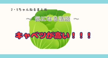 トンカツとキャベツの価値が逆転！【キャベツ高騰化】！！(´Д⊂ヽ